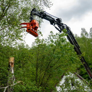 WOODCRACKER CS Kraana